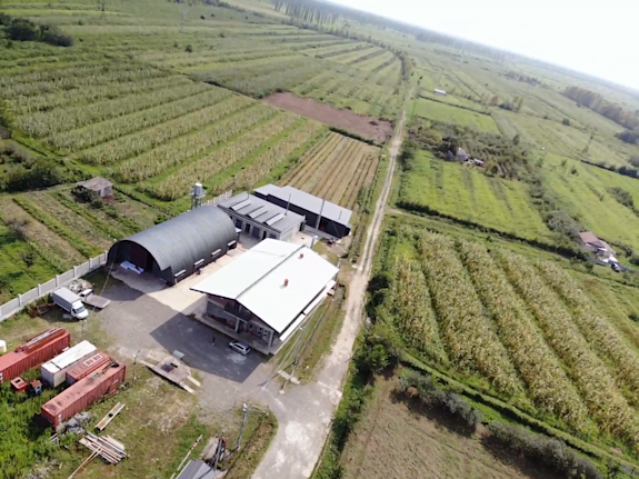 Bay Leaves Production Business And Factory Sell