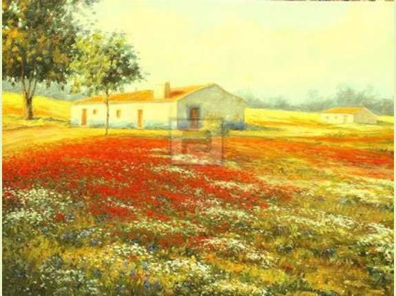 Property 625 Ha Portugal - Investment opportunity