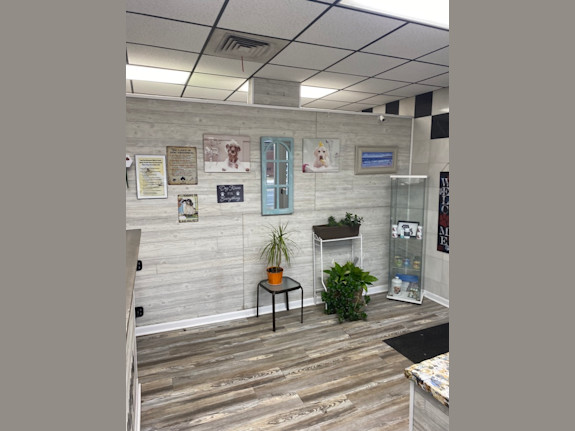 Dog Boarding & Pet Food Business for Sale