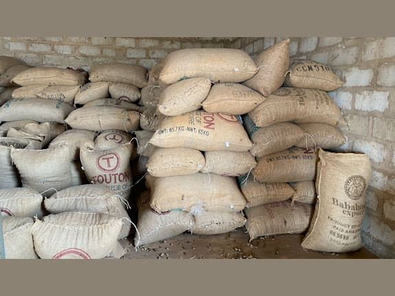 Raw Dried Cashews - Less than 10%MC