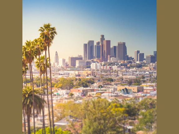 Large, Modern LA County Vet Hospital for Sale