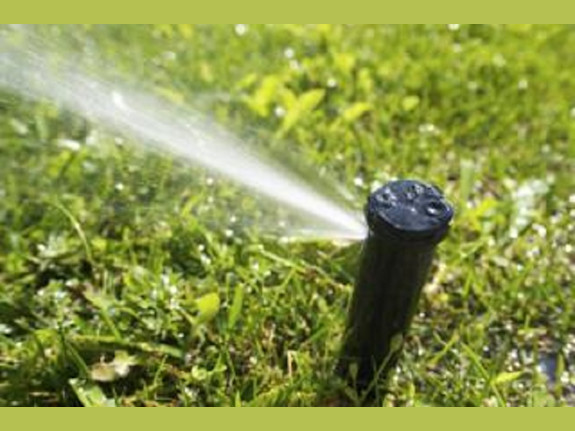 Landscaping Company for Sale in NY