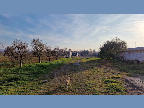 Farm/Agro-Logistics Complex -3.5ha Intravilan