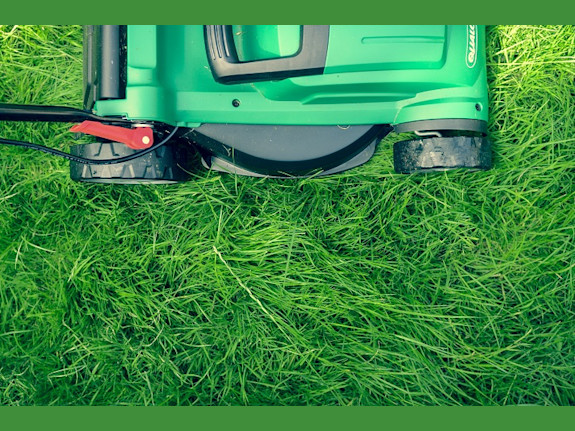 Landscape Service Company for Sale in NY