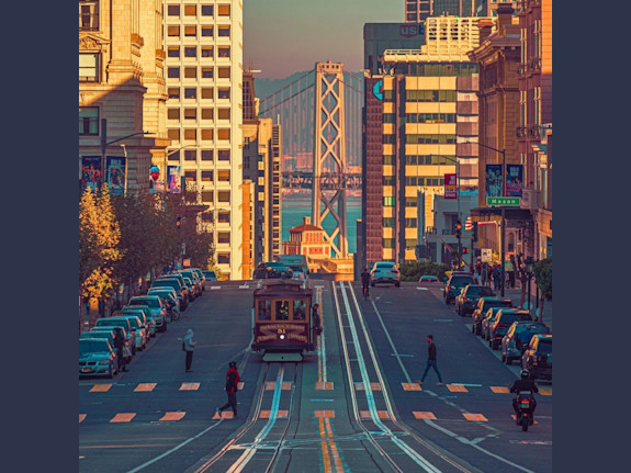 Prime San Francisco Veterinary Hospital for Sale