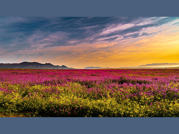 Invest in a Fund Raise Marketing System Get Equity