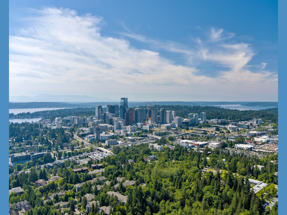 Chiropractic Practice for Sale in Bellevue WA Area