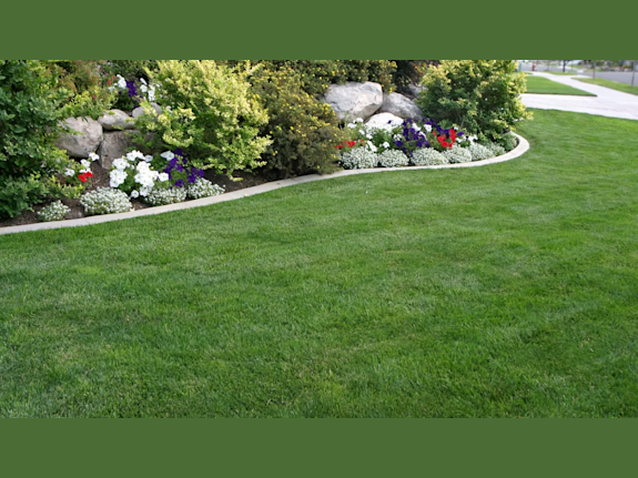 TurnKey Decorative Concrete Biz WI - 40% Cash Flow