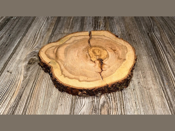 Work From Home Established eCommerce Business