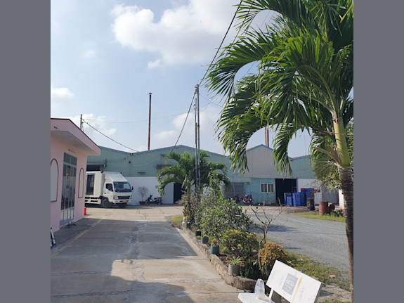 Fully Operational Cashew Kernel Production Unit