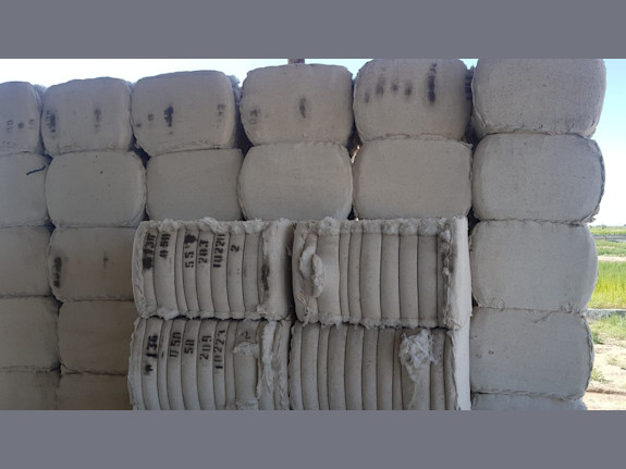 Processed Cotton Fiber