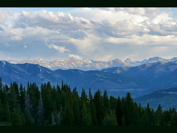 Profitable Environmental Consulting Firm