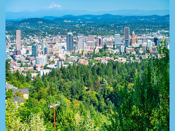 Practice for Sale in SW Portland Suburbs OR Area