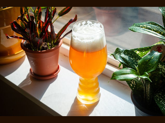 Craft Home Beer Brewing Dropship Website Business