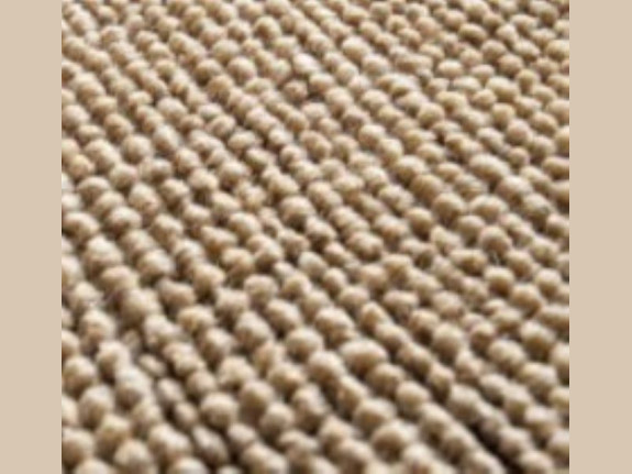 Carpet Cleaning Business