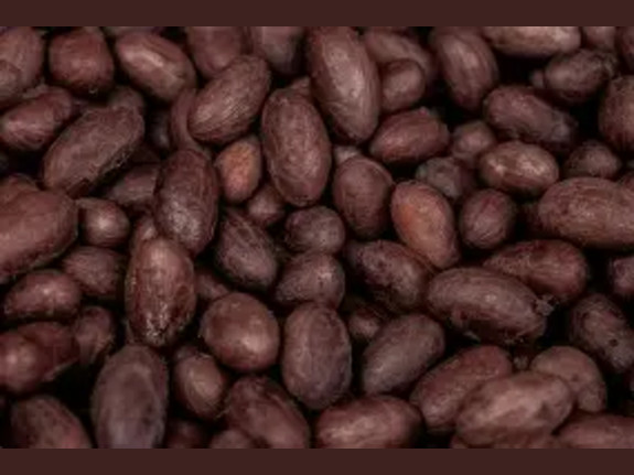 We Sell Cocoa Beans