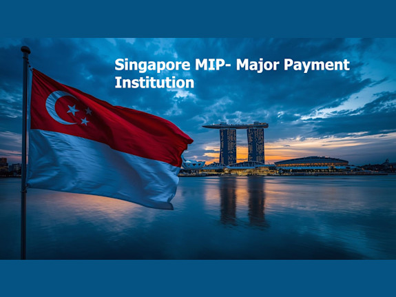 Singapore MIP- Major Payment Institution for sale