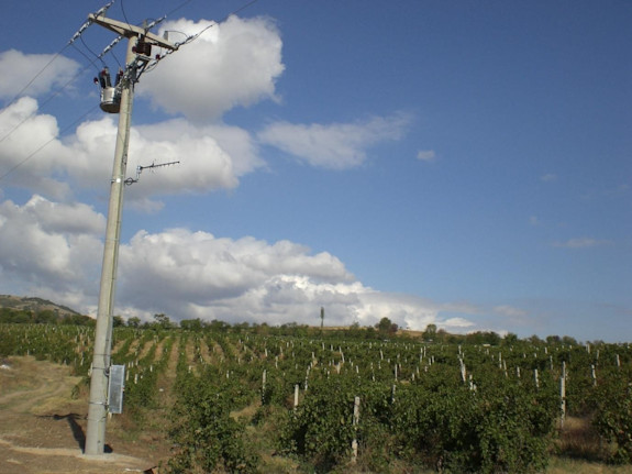 Vineyard for selling in Gorobinci ,N.Macedonia