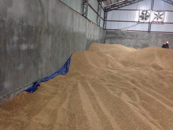 Grain Warehouse For Sale -  Rent 10% Net / Year