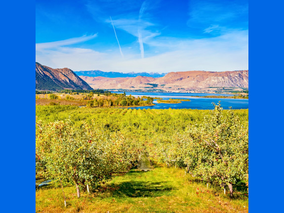 Okanogan County, WA Veterinary Practice for Sale