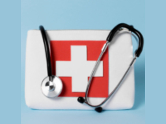 Licensed Swiss Pharmaceutical Wholesale Business