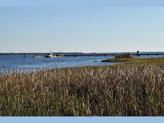 Established CPA Firm in SC - Motivated Seller