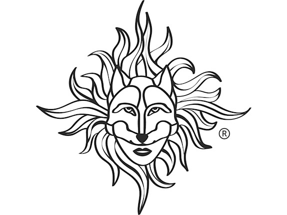 Extraordinary Partnership Opportunity