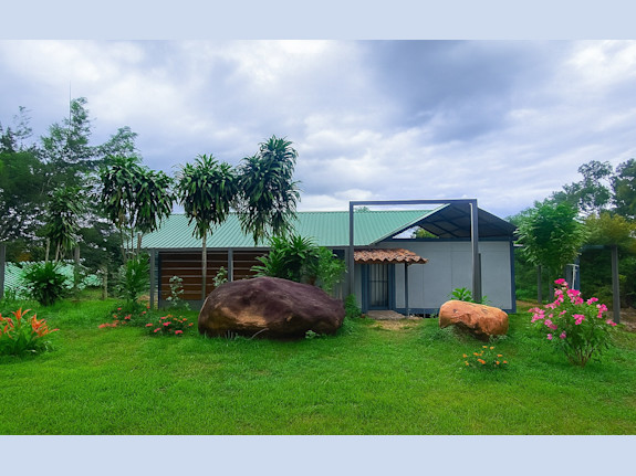 Your Creative Retreat in the Peruvian Jungle