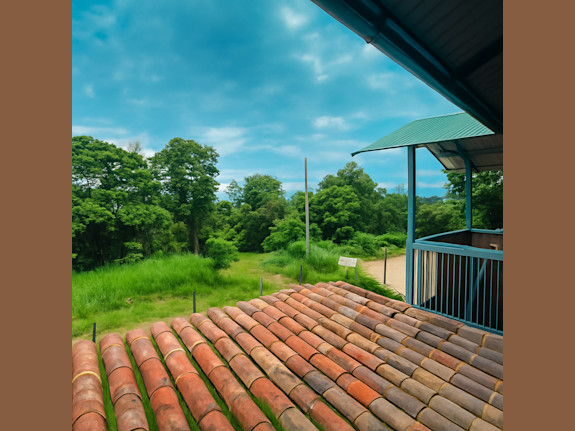 Your Creative Retreat in the Peruvian Jungle