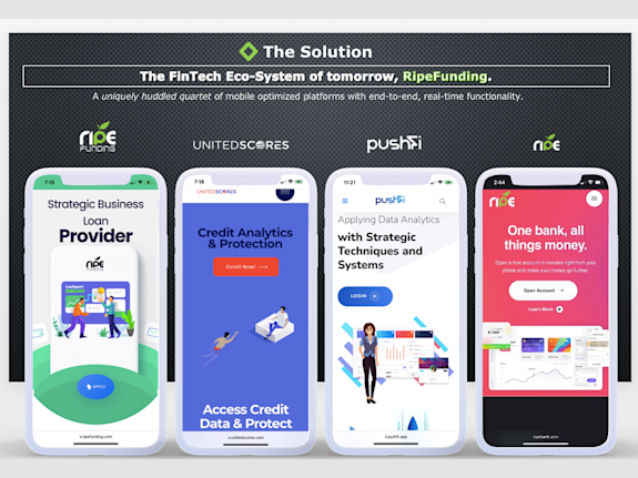 FinTech Firm Seeking Partnerships for Expansion