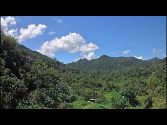 Untapped Potential of a Coffee Paradise