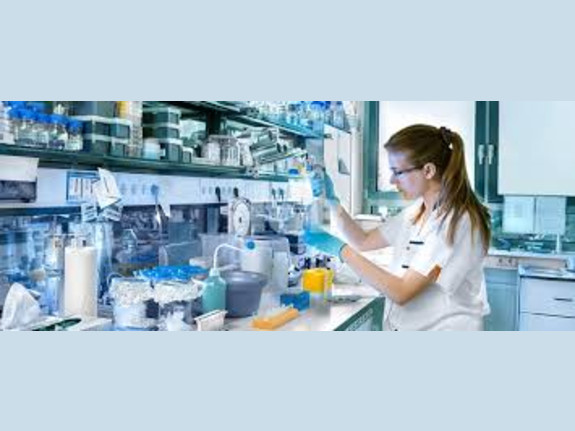 3 Lic Pharmacies Sterile & Non-Sterile