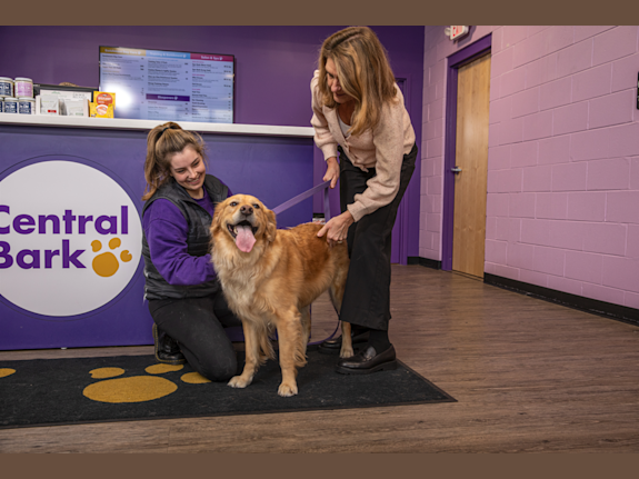 New Dog Daycare & Enrichment Franchise