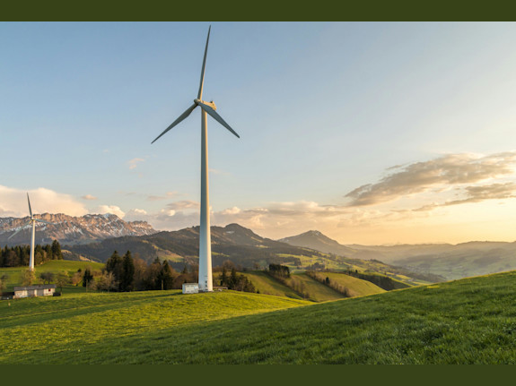 Renewable Energy Company for Sale