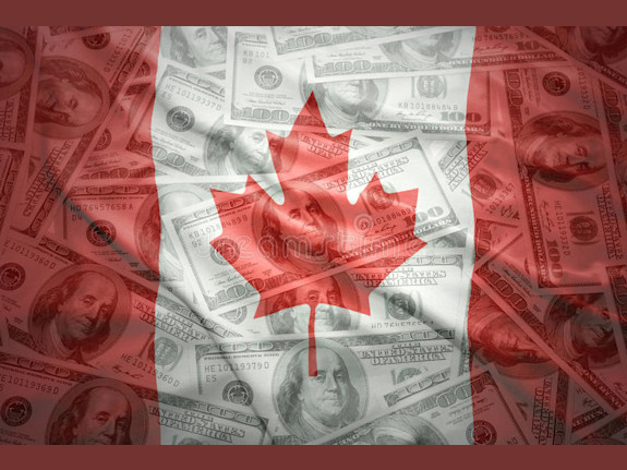 Federal Canadian MSB Licensed Company For Sale