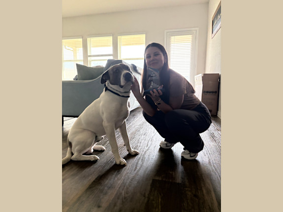 Dog Training Franchise – Seller Financing