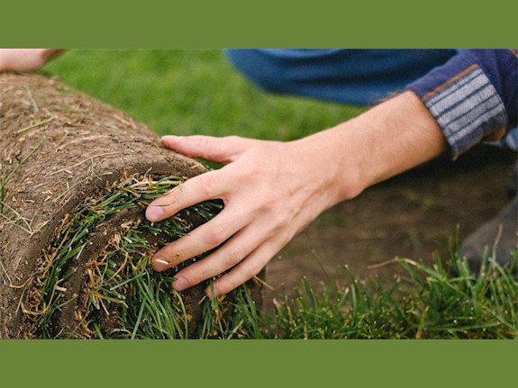 Established Profitable Sod Farm Distribution