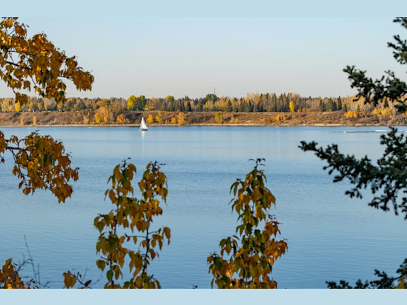 Tax & Estate Book of Business - Calgary Area