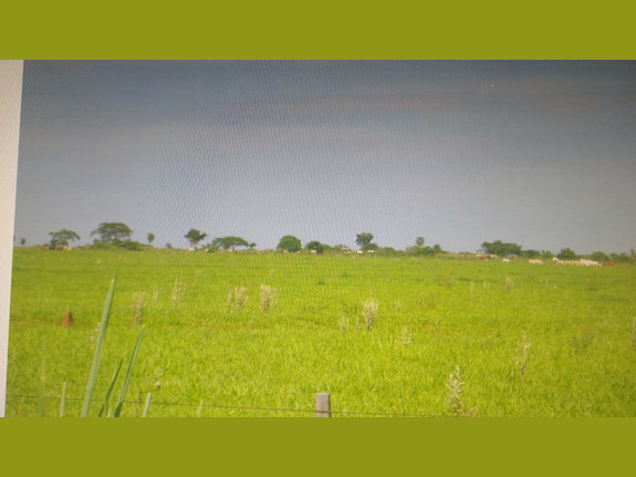 61,776 Acre Soy Bean/Cattle Ranch Paraguay