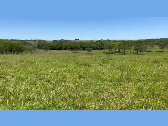 1074,91 Acre Ranch for Sale – Paraguay