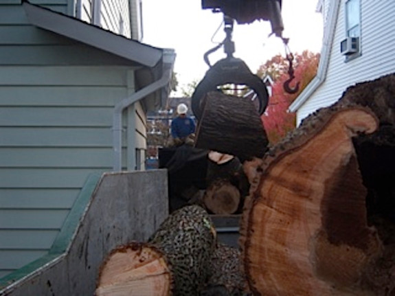 Quality Arborist Business for Sale in Essex County