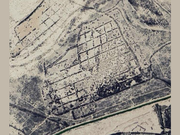 Ready-Made Agricultural Business For Sale