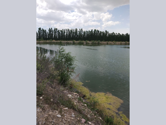 For Sale: Agricultural Business with 7 Hectares