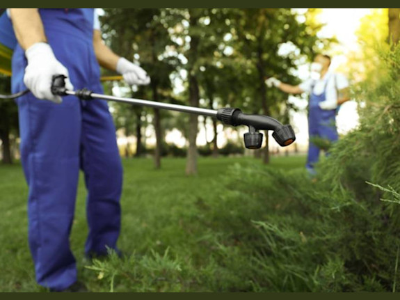 Relocatable Pest Management Franchise Listing