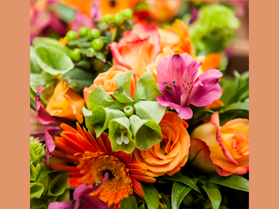 Reduced Price for Established Retail Florist