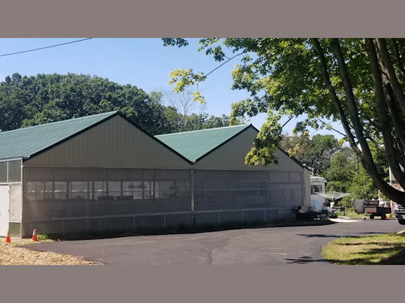 Aquaponic / Hydroponics  - Turn-key Business