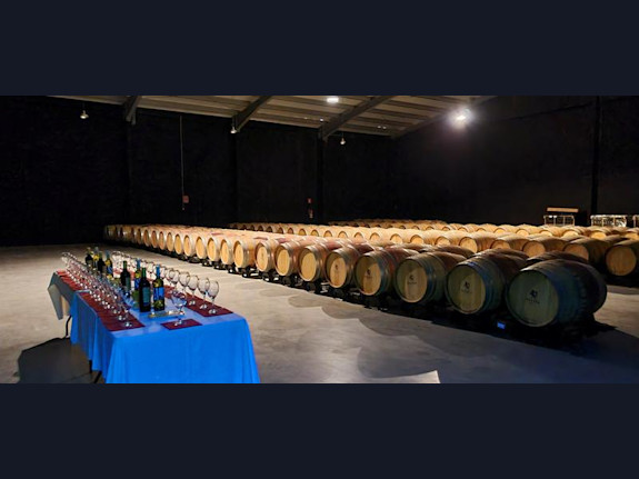 Spain: 173 hectare Vineyard in DO Cariñena