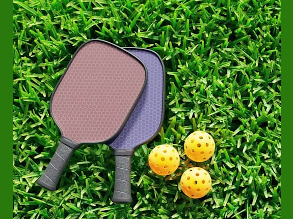 Pickleball Sports Dropship Website Business
