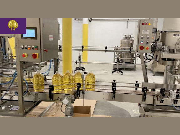 Sunflower Oil Refined / Made In EU