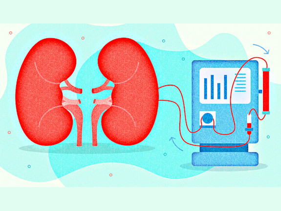 Established Dialysis Center (Hollywood, Florida)